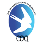 http://yulcom-technologies.com/wp-content/uploads/2021/04/Club_Ornithologue_Quebec_Logo.png